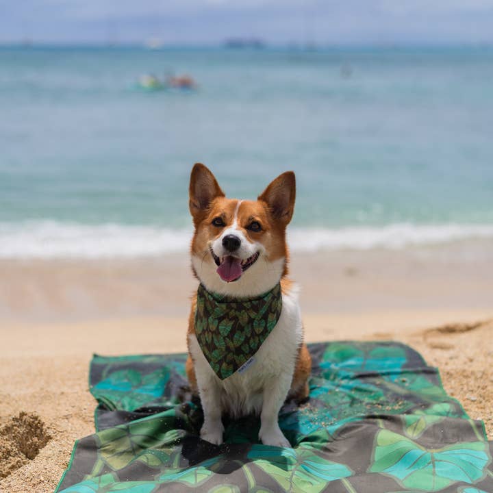 Ports and Paws - Wholesale Beach Towel - TOWEL - KALO3