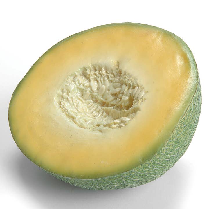 Studio Specialties - Wholesale Decorative Tabletop Object - CANTALOUPE HALF 6.5" PLASTIC0