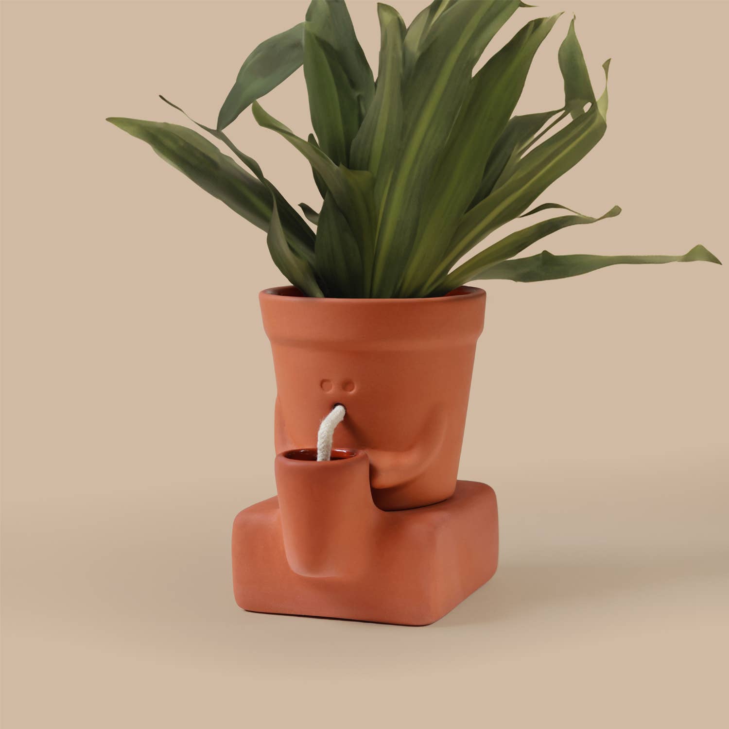 Pikkii - Vente Pot - Le Planteur Assoiffé | Pot de Plante Auto-Arrosant | Cadeau de Plante3