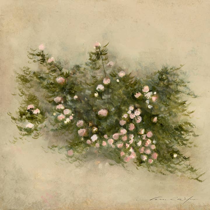 Hannah Winters Art - Wholesale Art Print - garden roses 16