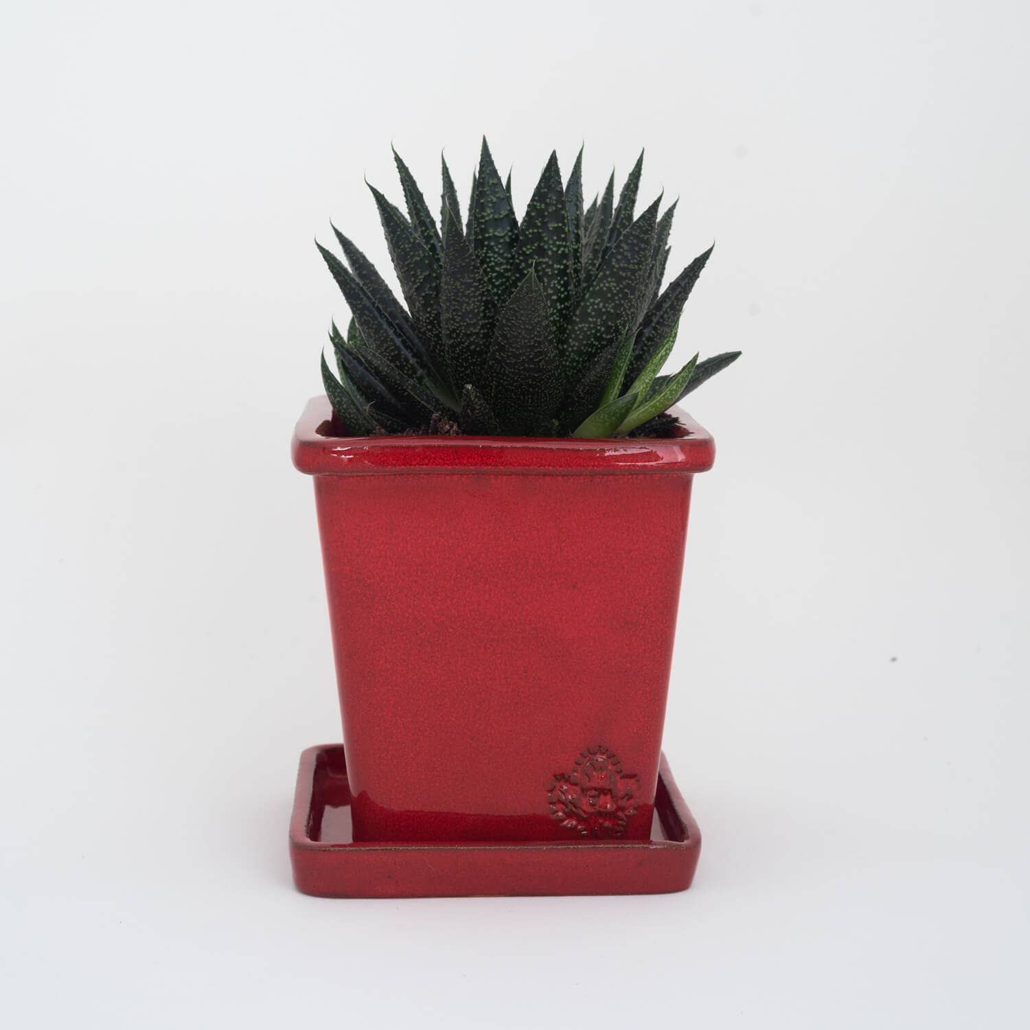 Vasos Quadrados by EM – Engroshandel Plantekrukke – Medium firkantet vase 14x14 cm - blank13