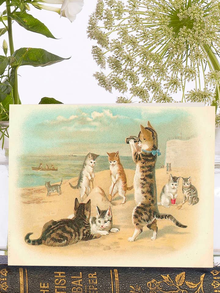 VT0030P ~ Cartão de Saudações Little Vintage por atacado de Madame Treacle