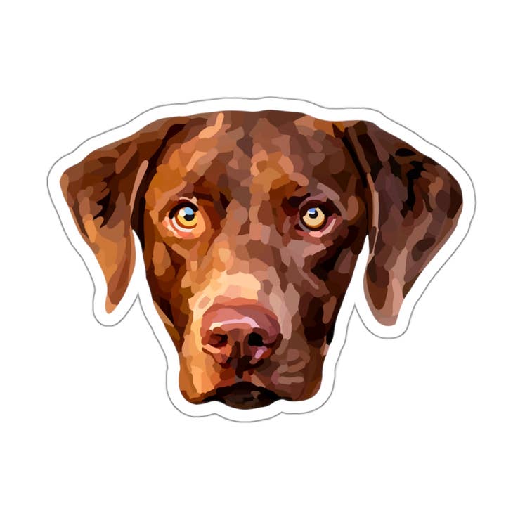Chesapeake Bay Retriever Dog Sticker for wholesale by LivLearnLove