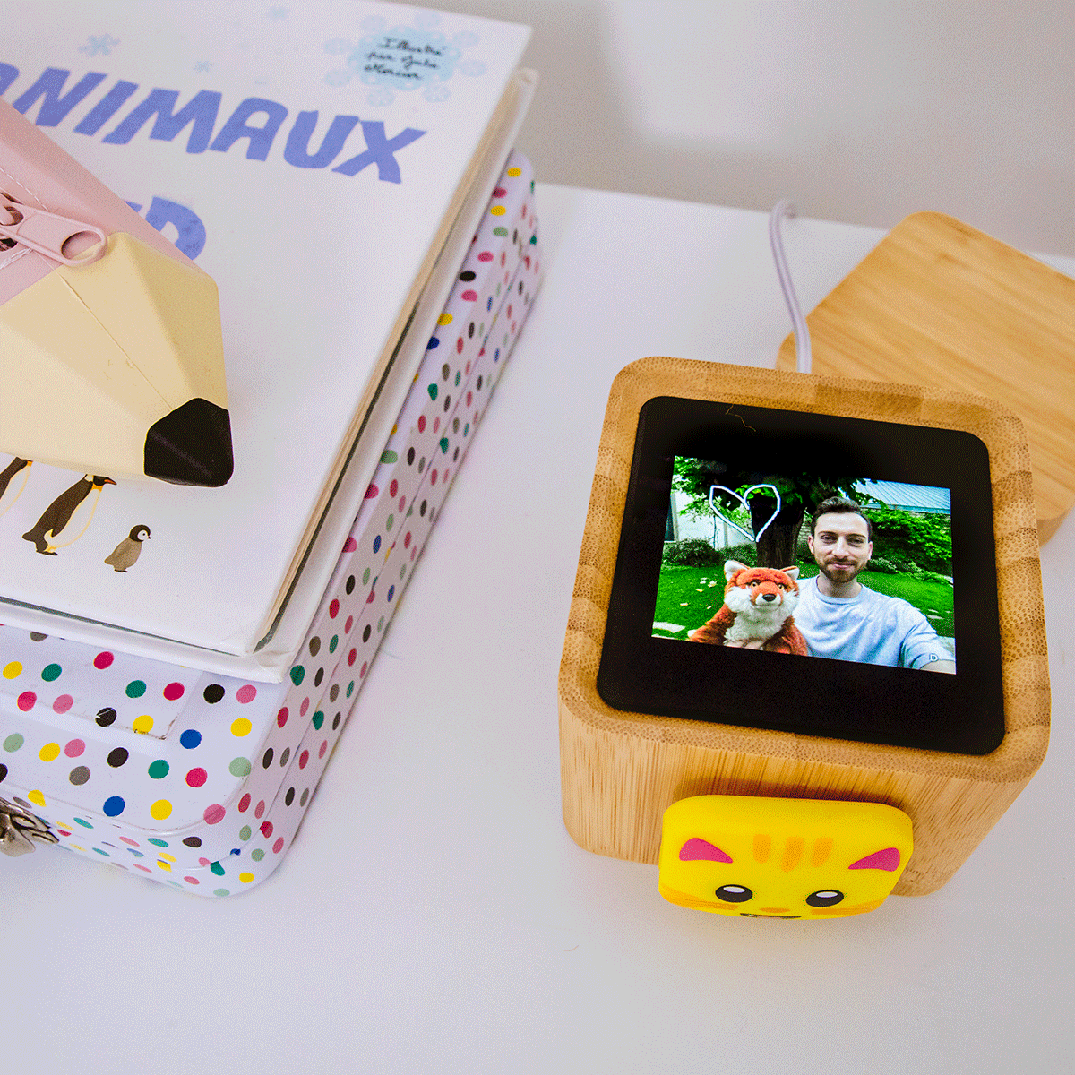 Lovebox (Europe) – wholesale Toy set – Kids – Lovebox for Kids - Cat version - 
The perfect gift9