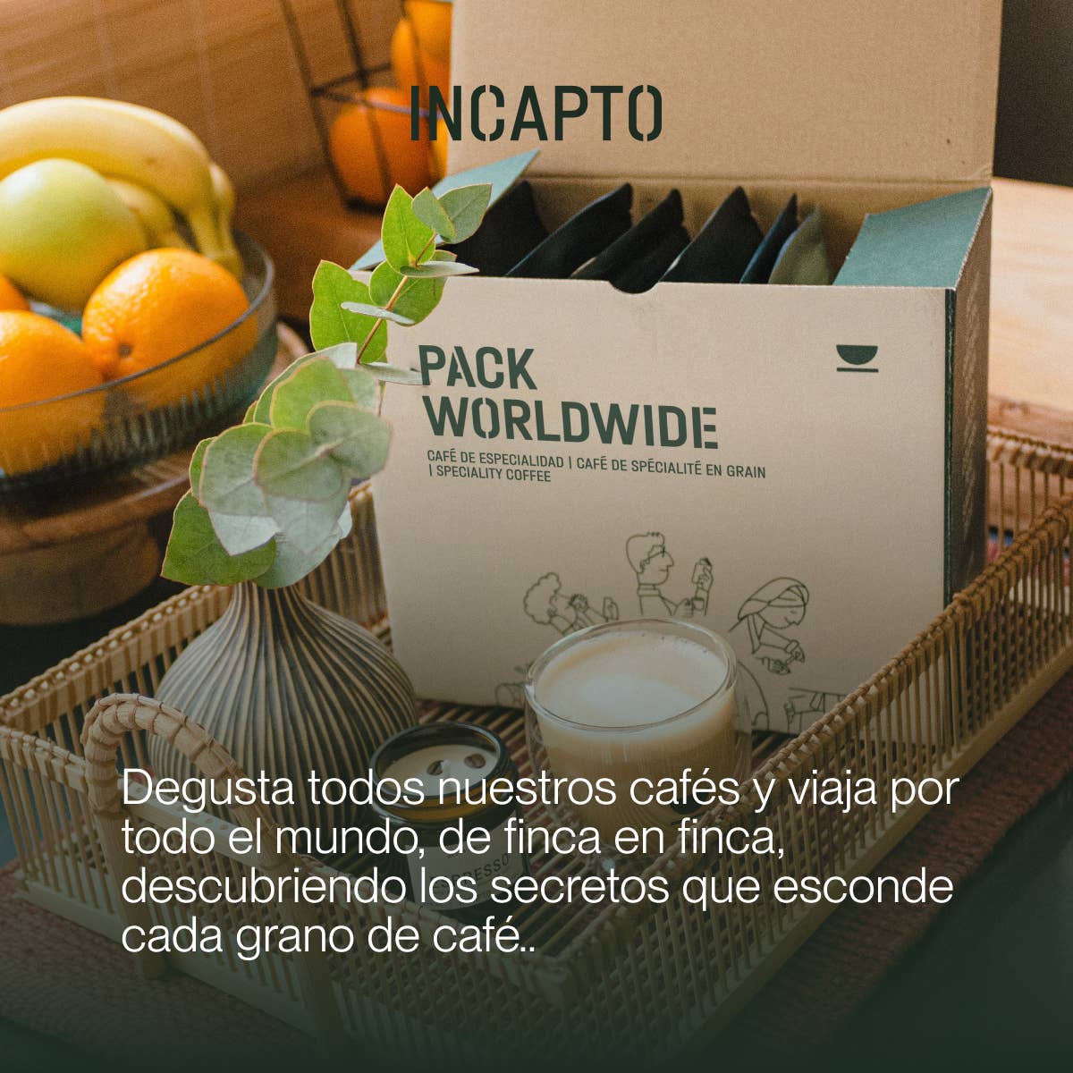 INCAPTO COFFEE - Wholesale Coffee Beans - Specialty Bean Coffee - WORLDWIDE Tasting Pack4