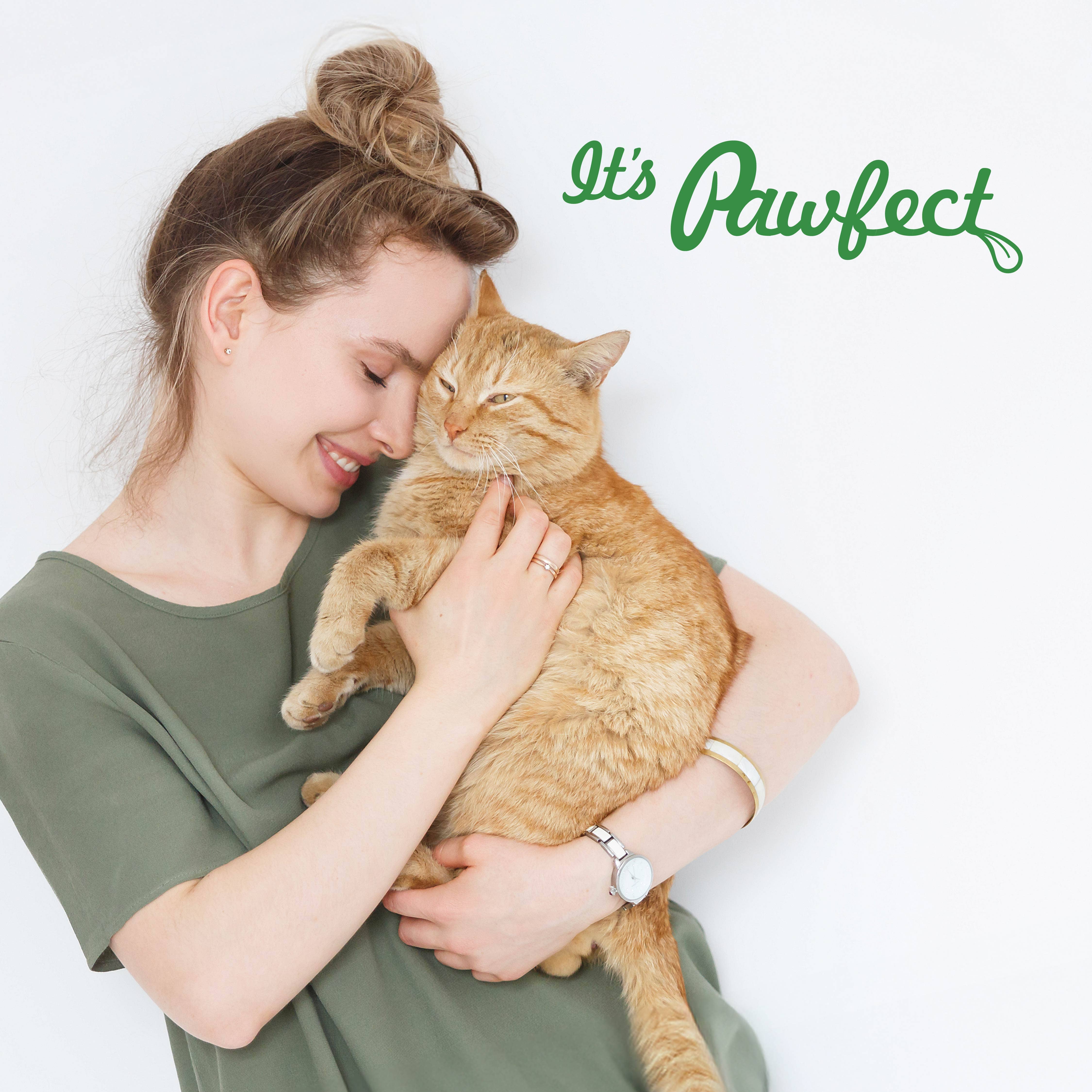 Pawfect Pet Foods Pvt Ltd - USA - Wholesale Pet Treats - Cat - Pawfect Nature's Feast Freeze-Dried Lamb Meat Treats for Cats| 100% Natural| Hypoallergenic| Easily Digestible| Grain-Free| Training Treat| High Protein| Low Fat| Single Ingredient treats(150g/5.29oz)6