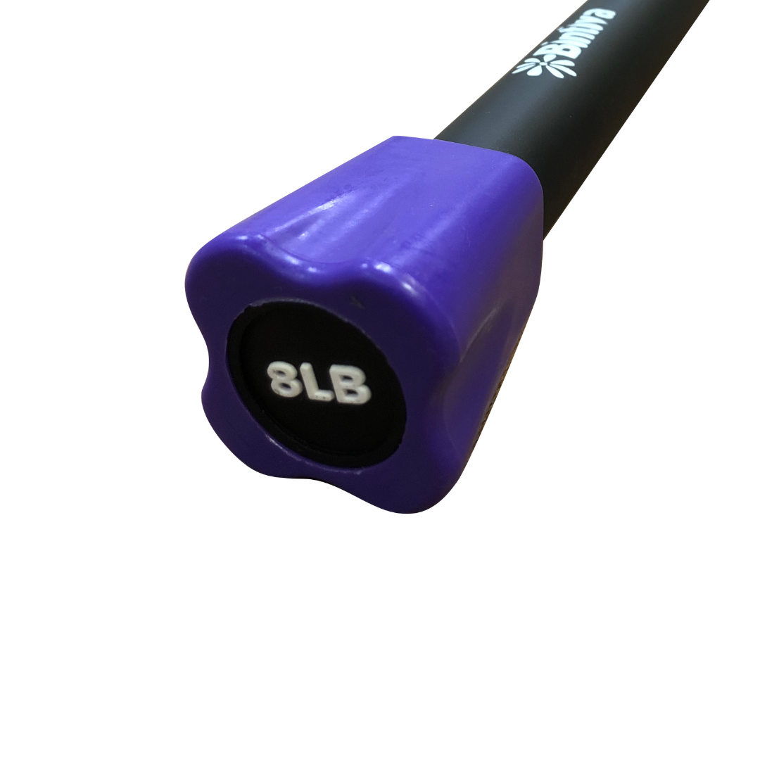 Bintiva - Wholesale Fitness Equipment - Bintiva Weighted Fitness Bars2