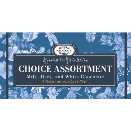 Coffret cadeau Signature Collection/Choice Truffle Assortiment pour la vente par Euphoria Chocolate Company