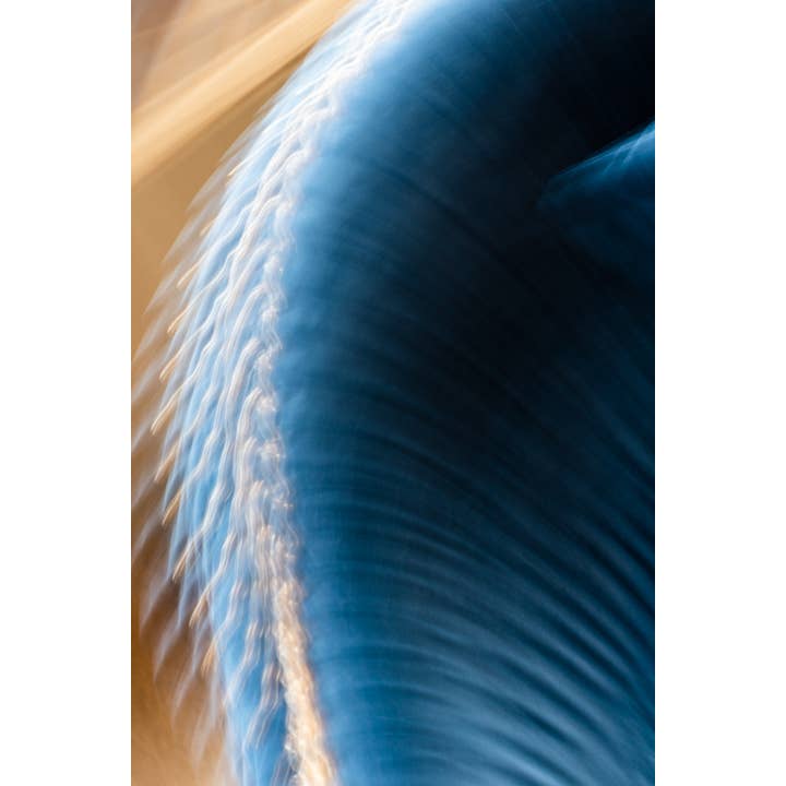 Stampa artistica Swimming Upstream per la vendita all'ingrosso da parte di Christi Kraft Photography