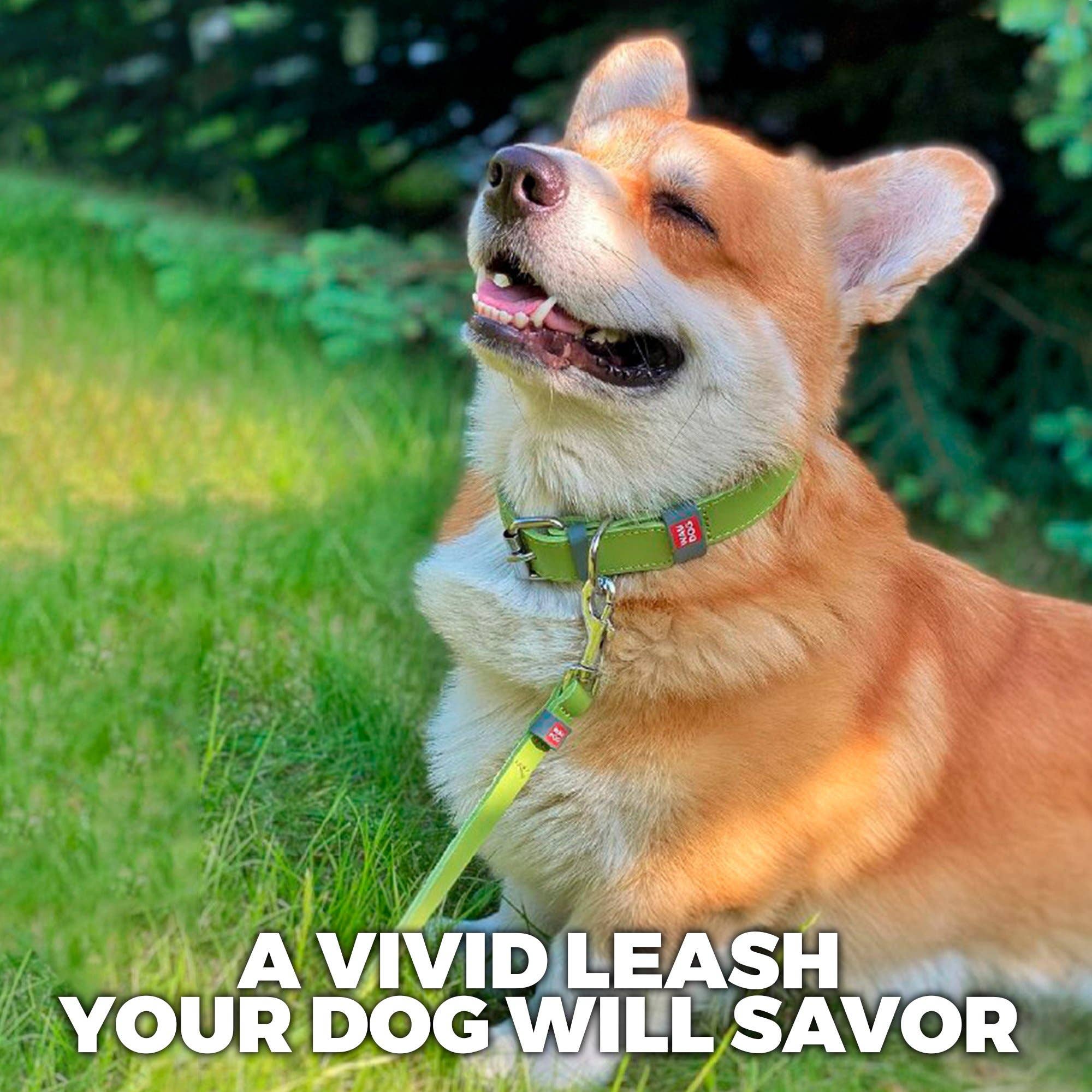 WAUDOG - Vente Laisse – chien - Laisse en cuir classique avec clip en métal5