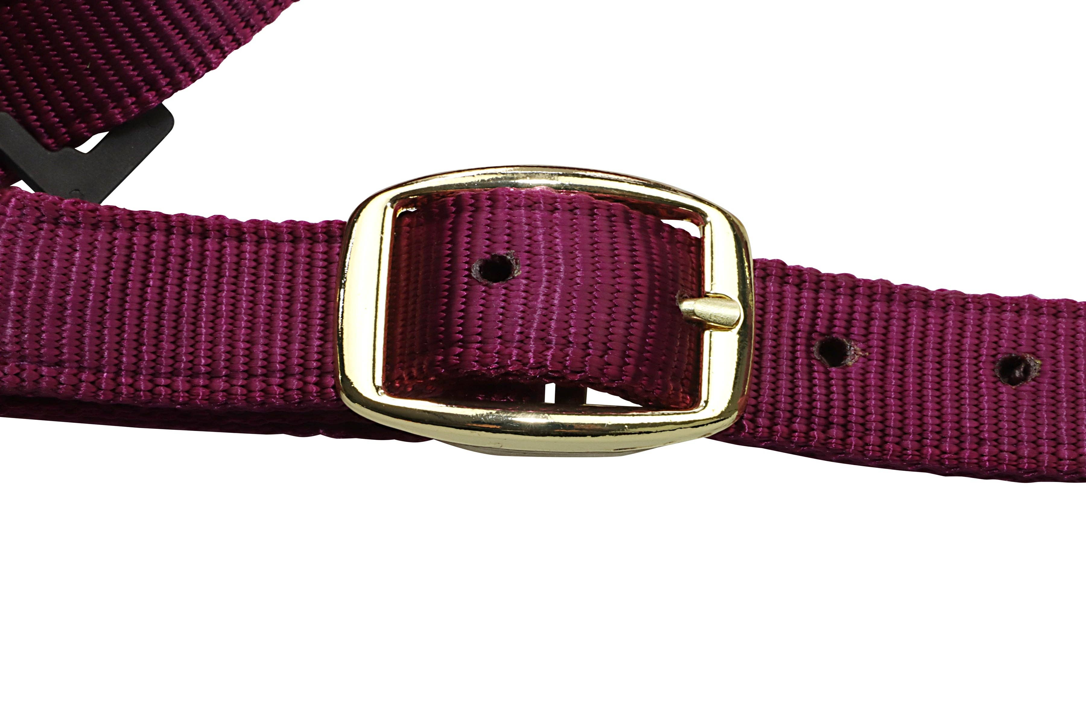 Grewal Equestrian - Wholesale Paardrijuitrusting - Nylon hoofdstellen voor paarden25