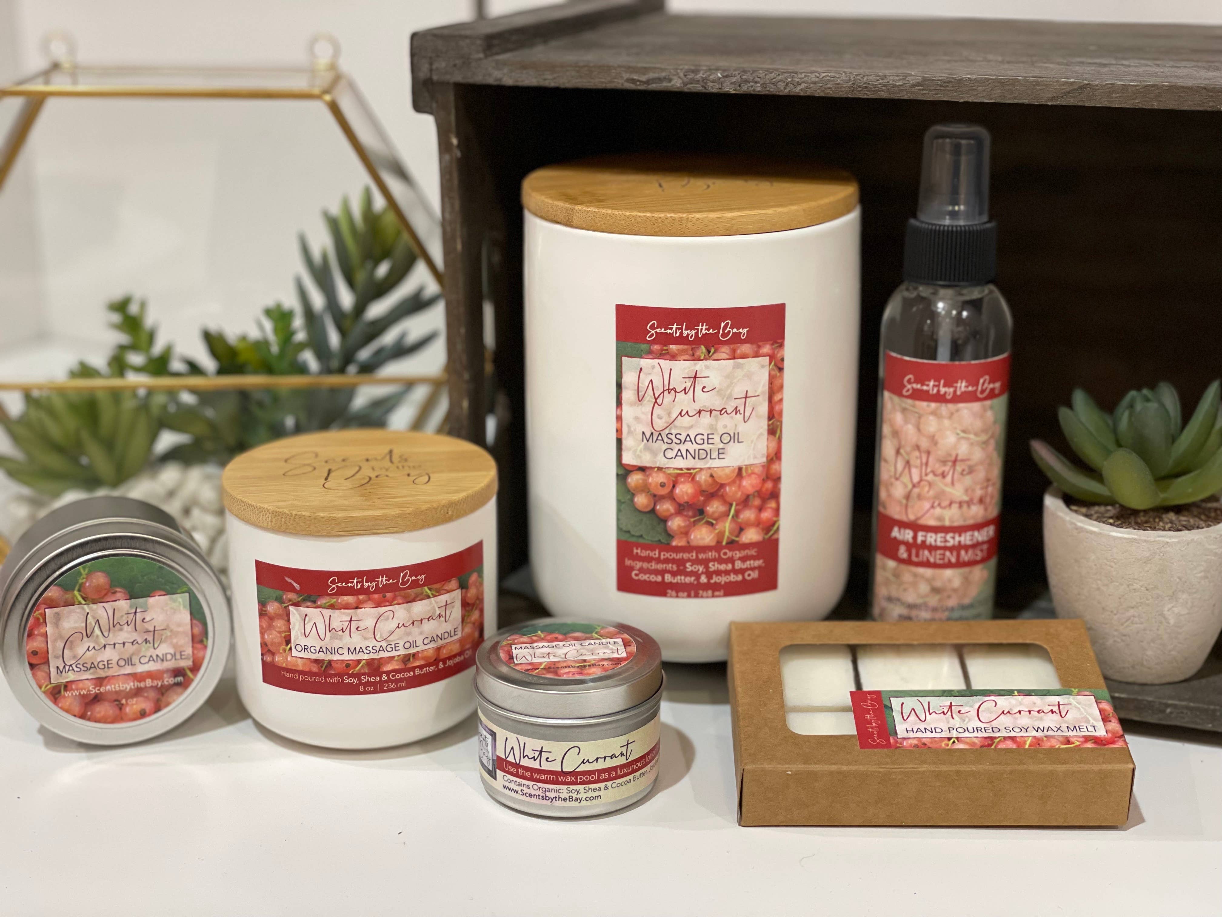 Scents by the Bay - Wholesale Jar/Filled Candle - 8 oz Reusable Ceramic: Organic Massage Oil Candle9