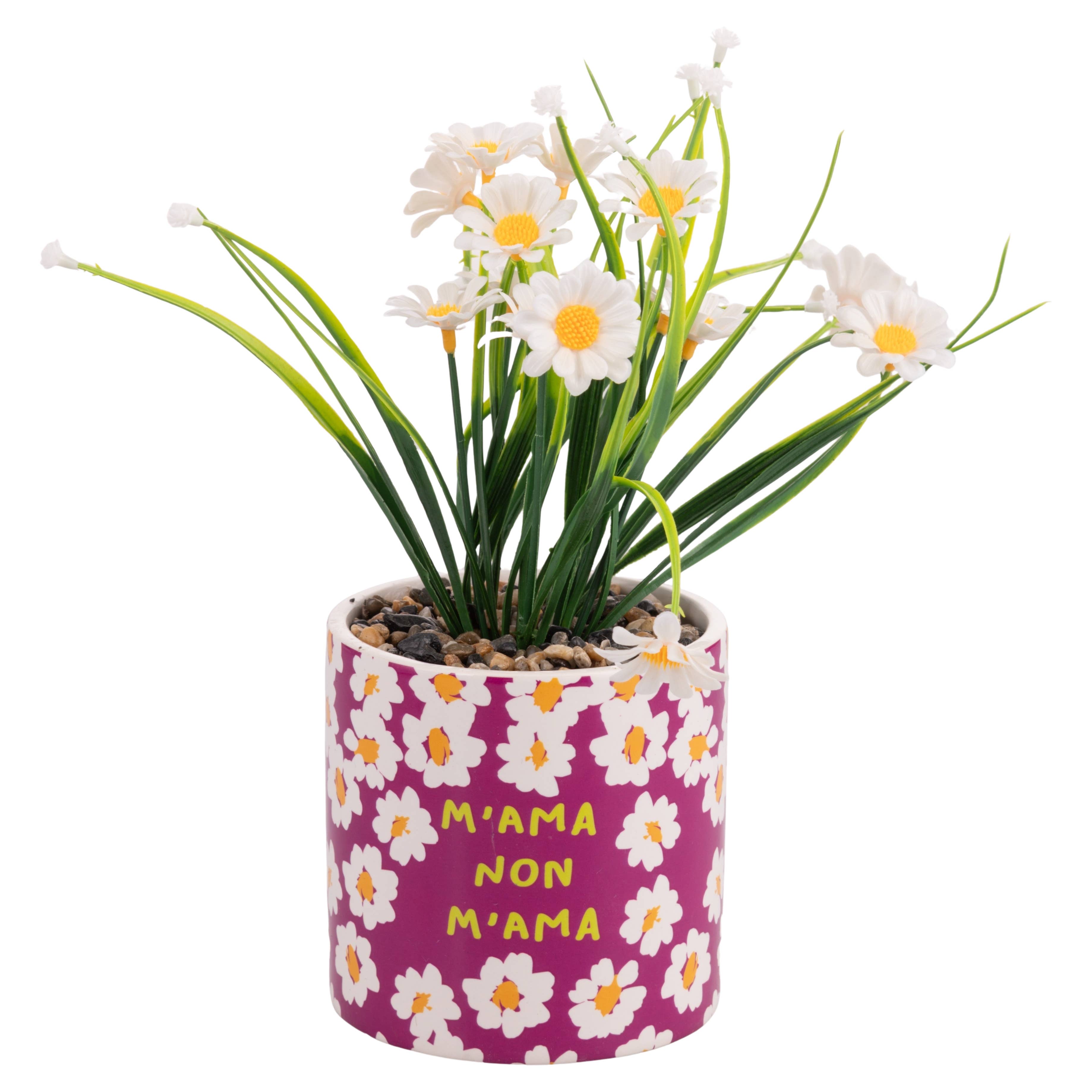 VdE Tivoli 1996 - Venta al por mayor Plantas artificiales - MÁS AMOR PLANTITA 2 ASIENTOS1