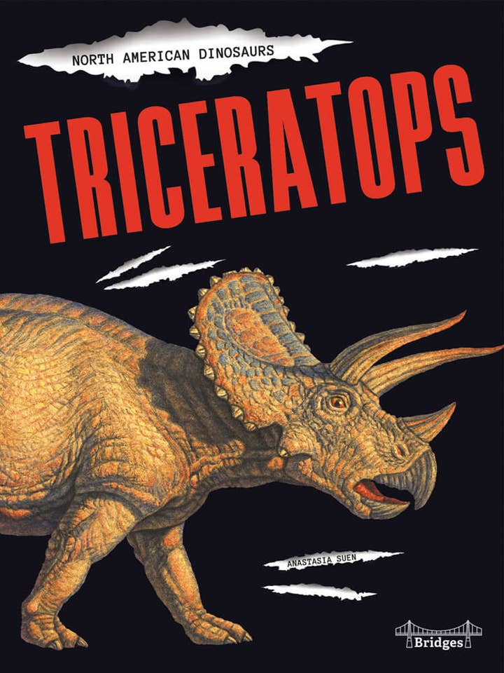 Triceratops for wholesale by Carson Dellosa Education