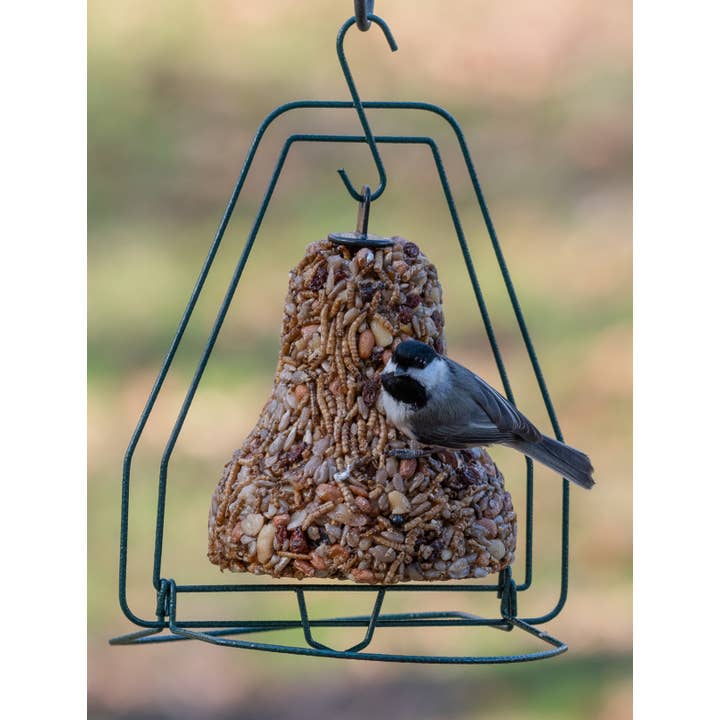 Mr Bird - Wholesale Bird Feeder - Seed Bell Hanger