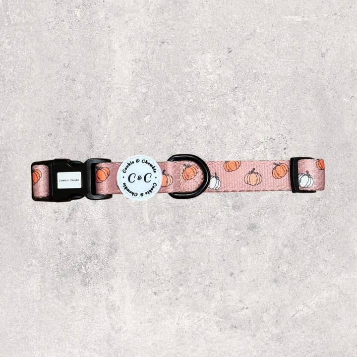 Collar - 'Cinderella Latte' for wholesale by Cookie and Chewkie