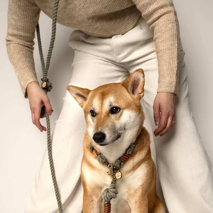 HAND FREE rope dog leash - AMAZONE for wholesale by KITSUNE.DOG