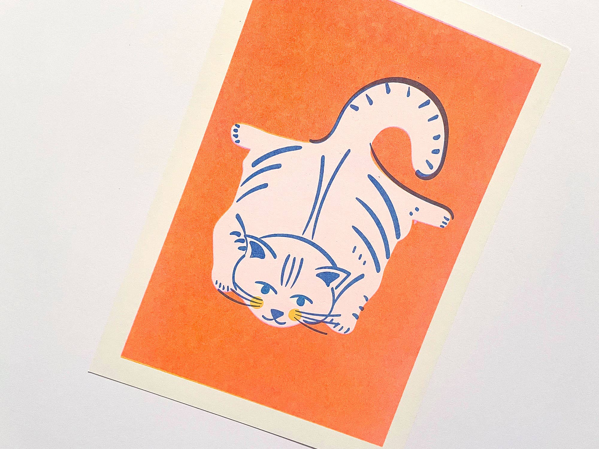 Fabric Drawer – Impressão artística por atacado – Impressão de Arte A5 Risograph Gato Plano3