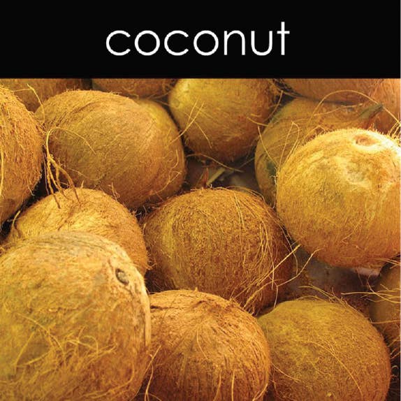 Vela de coco por atacado de Candle Chemistry