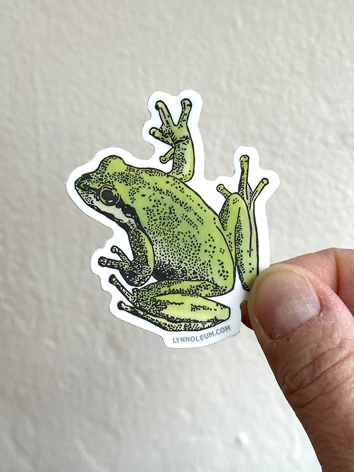 Lynn-oleum - Wholesale Sticker - Pacific Chorus Frog STICKER1