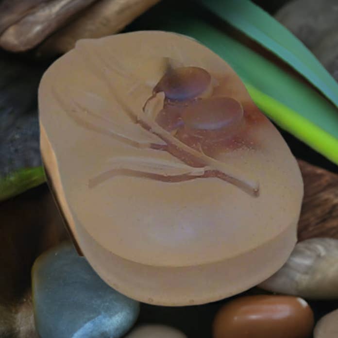 Balsam Cedarwood infused in Aloe Soap for wholesale by Simply Organic Soaps