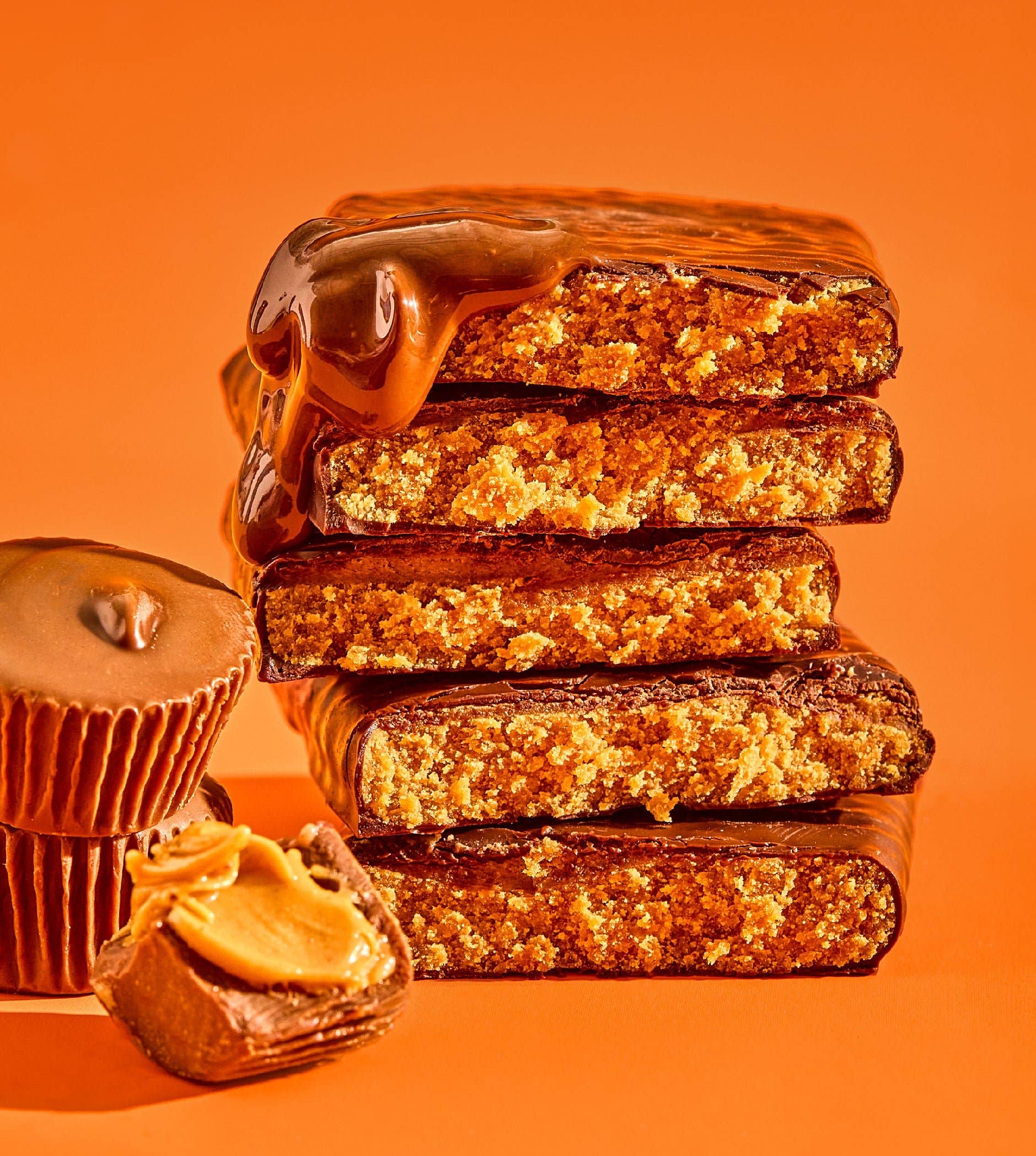 Aloha - Wholesale Snack Bar - Peanut Butter Cup Protein Bar4