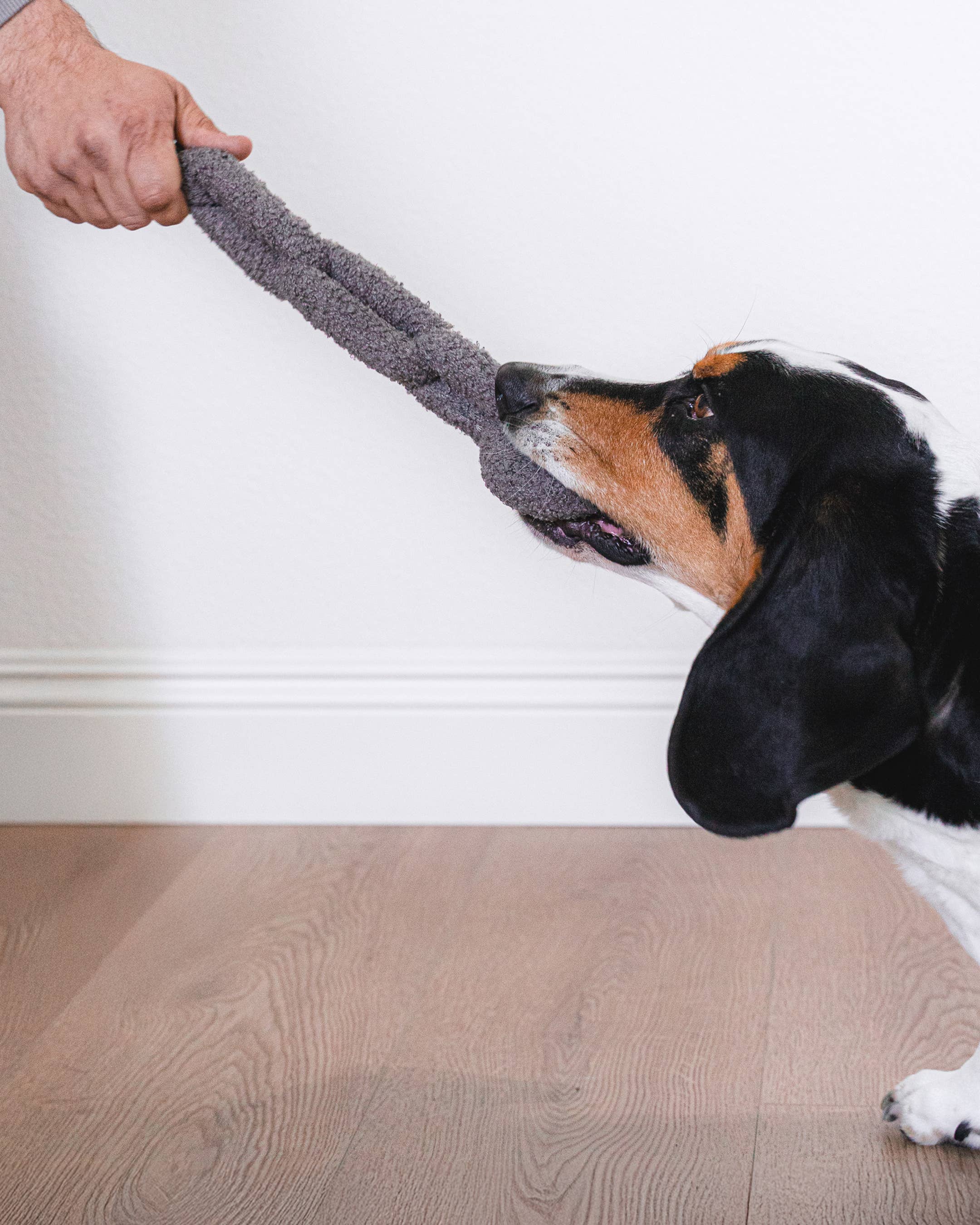 Pruff Pets - Venta al por mayor Peluche - Perros - Juguete de Peluche con Vínculos de Bouclé2