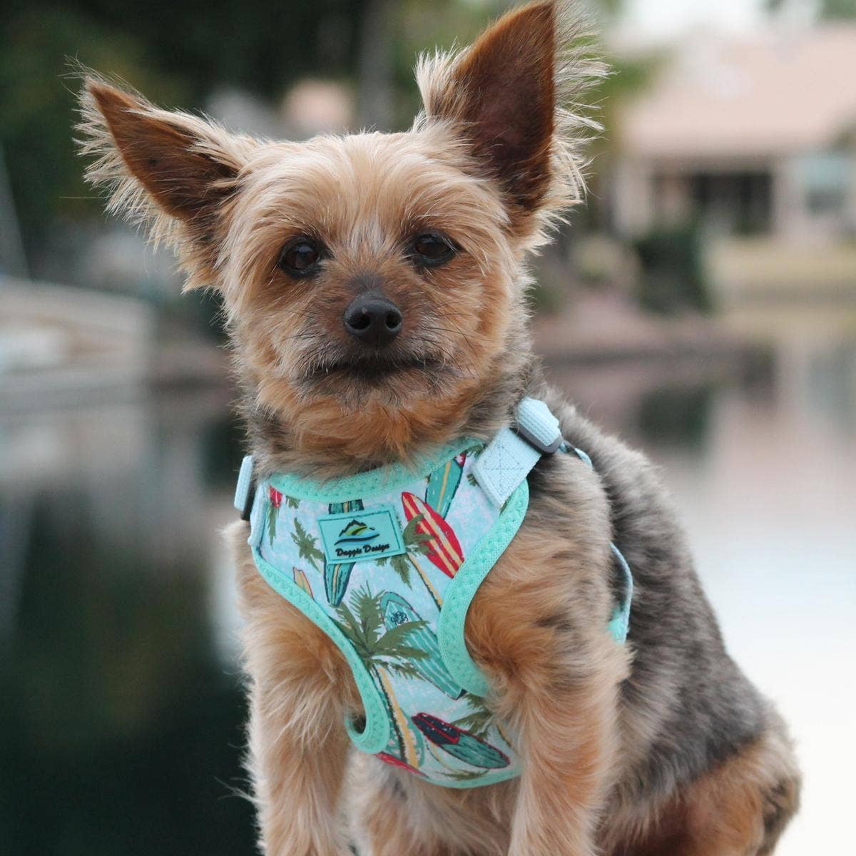 Doggie Design - Wholesale Pet Harness - Dog - Wrap & Snap Choke Free Dog Harness - Surfboards and Palms2
