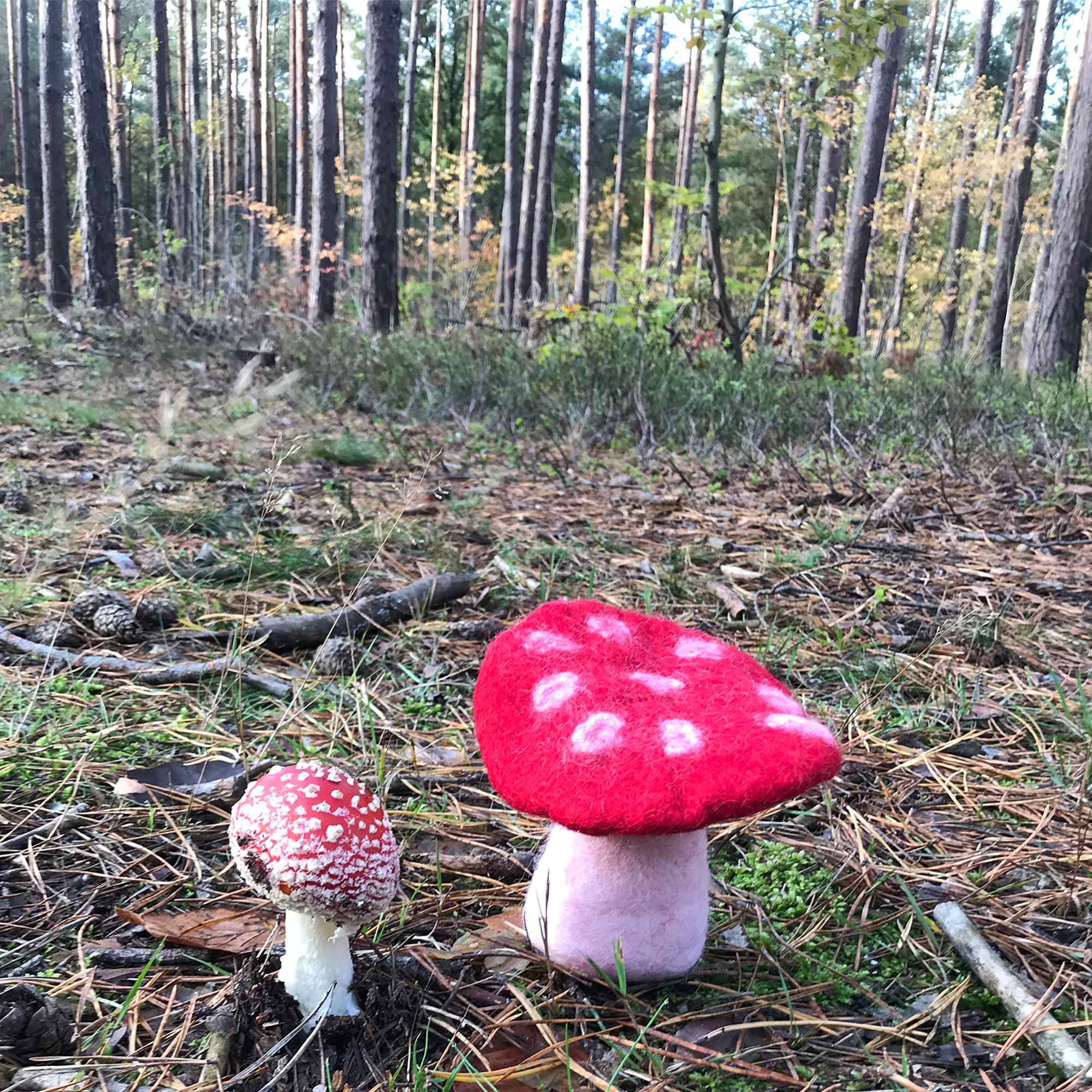 Tribal Trade GmbH - Vendita all'ingrosso Statuette decorative - Fungo amanita muscaria in feltro rosso, disponibile in 3 dimensioni1