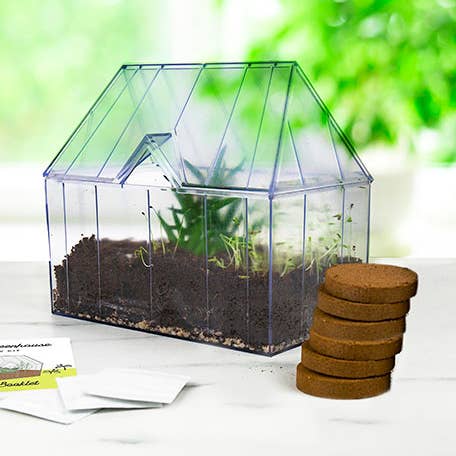 Gift Republic – wholesale Plant seeds – Mini Garden Greenhouse Grow Kit0