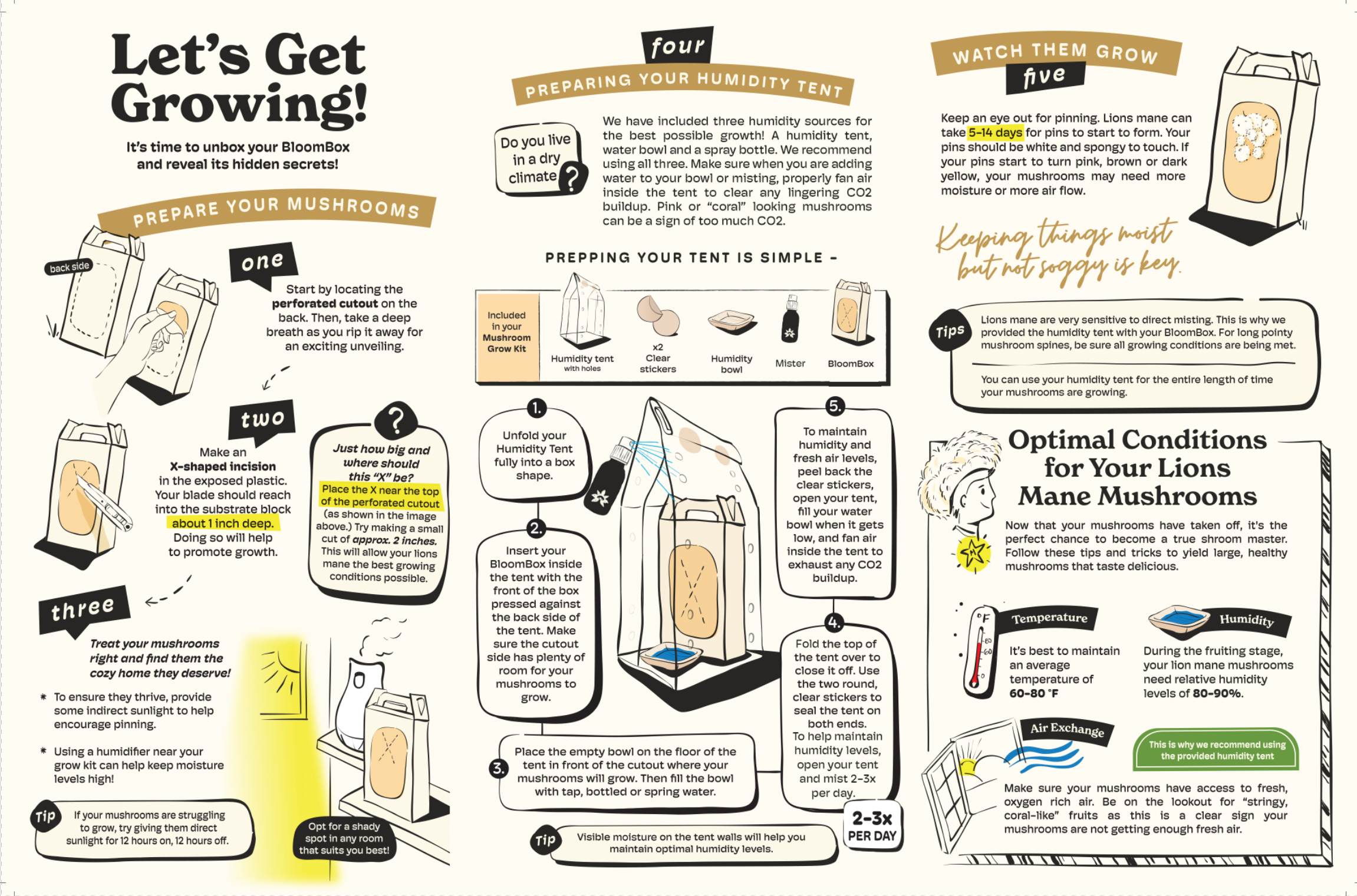 Nublume Mushroom - Wholesale Planter Box - Lion’s Mane Mushroom Grow Kit | DIY Indoor Garden | Gift8