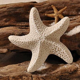 Aimant Starfish Sand pour la vente par The Sand Store by Creative Artworks, Inc.