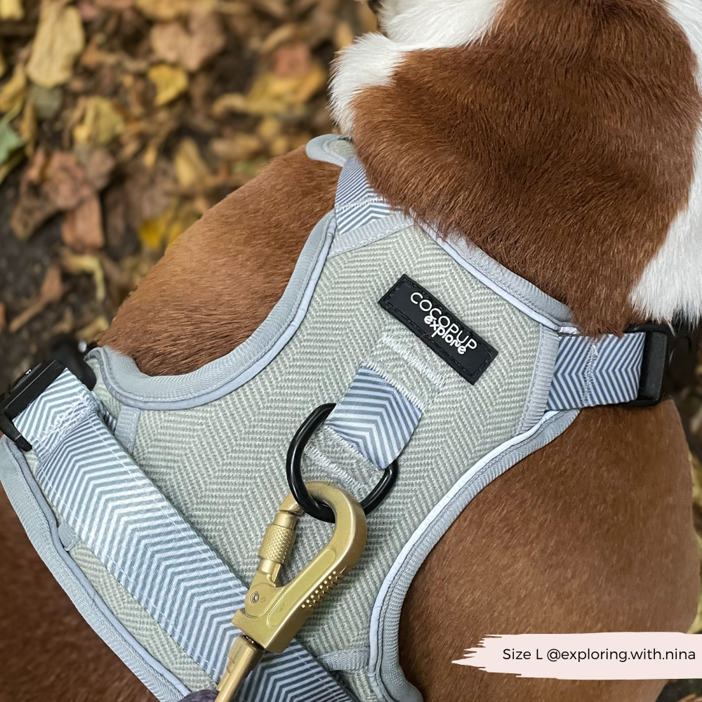 Cocopup London - Wholesale Tuig voor huisdieren - Hond - Verken Harness - Salie Tweed17