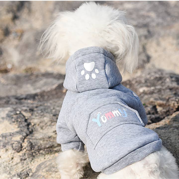 Dog sweatshirt and other Purchase Wholesale ropa moda. Free Returns & Net 60 Terms on Faire trending on Faire.