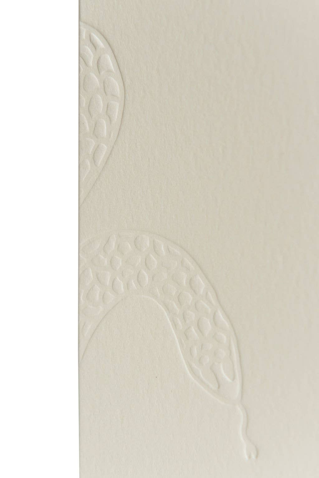 Casa Blanca Coffee Roasters - Vente Grains de café - Guatemala Huehuetenango - Fraîchement rôti - Haricot entier1