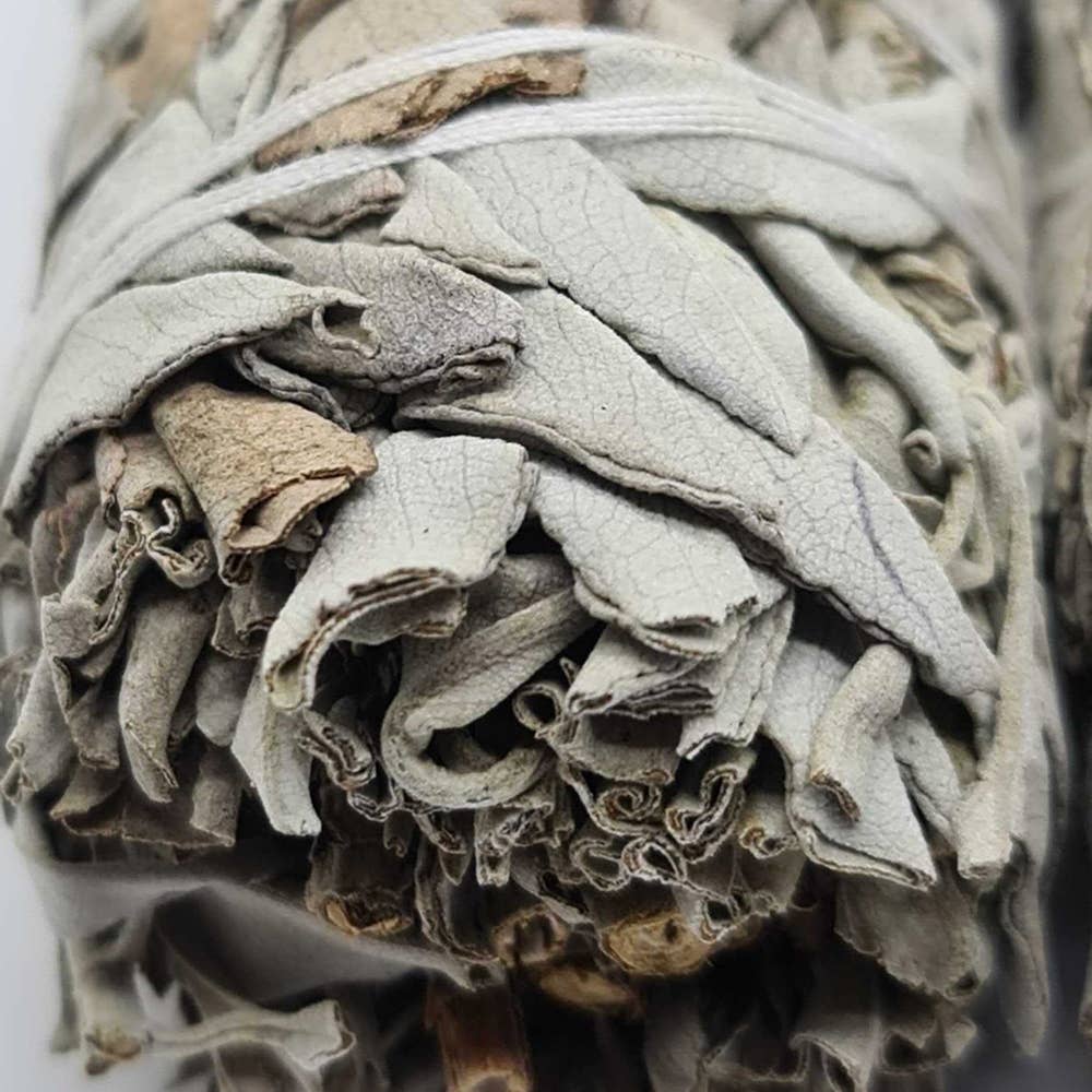 VIE – Engroshandel Salviepakke – Smudge Stick, Hvid Salvie 6"4