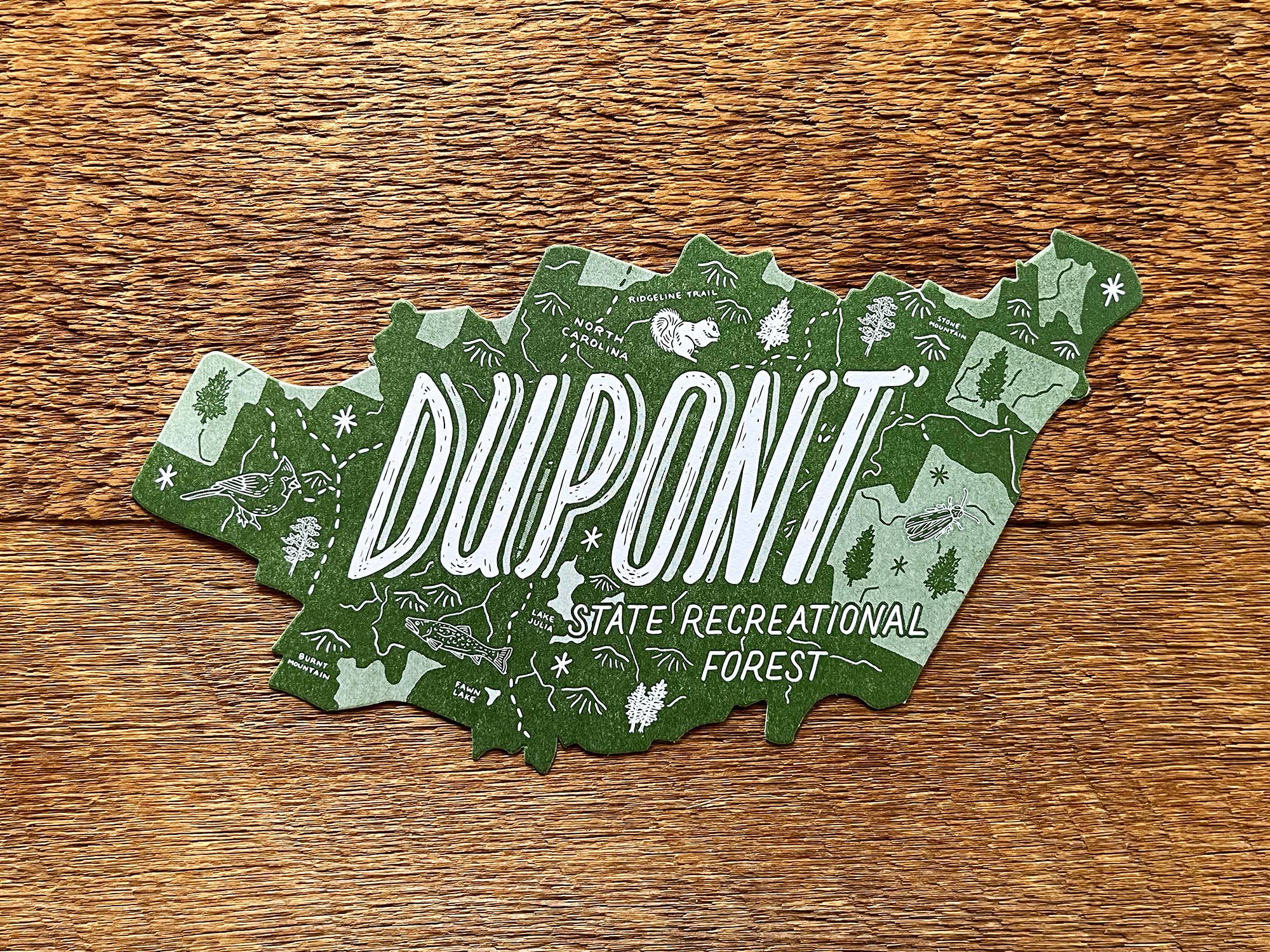 Noteworthy Paper & Press - Wholesale Postcard - Dupont State Forest Postcard2