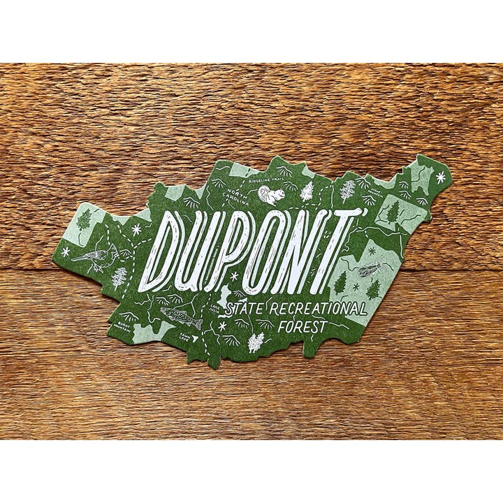 Noteworthy Paper & Press - Wholesale Postcard - Dupont State Forest Postcard2