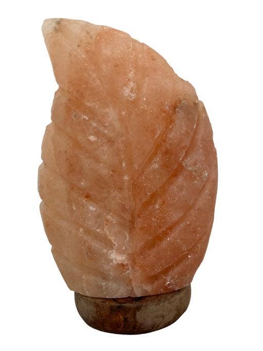 International Gifts Ltd. - Wholesale Salt Lamp - Zenn Himalayan Salt Lamp Fern Shape With Wooden Base-0270