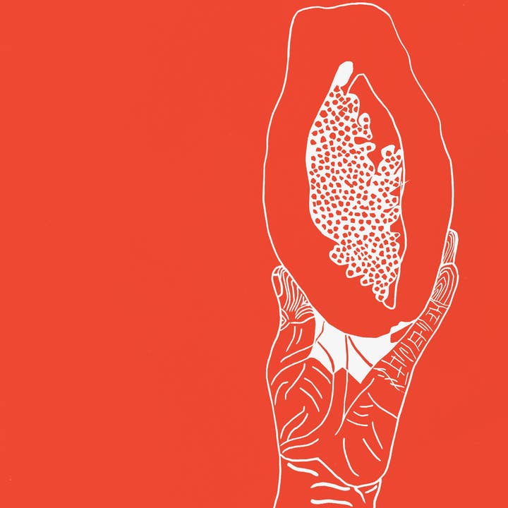 The Nourishment Collection: Papaya for wholesale by Charlotte Holt Art