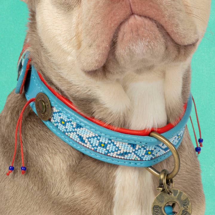 Dutchie Collar for wholesale by Dog with a Mission