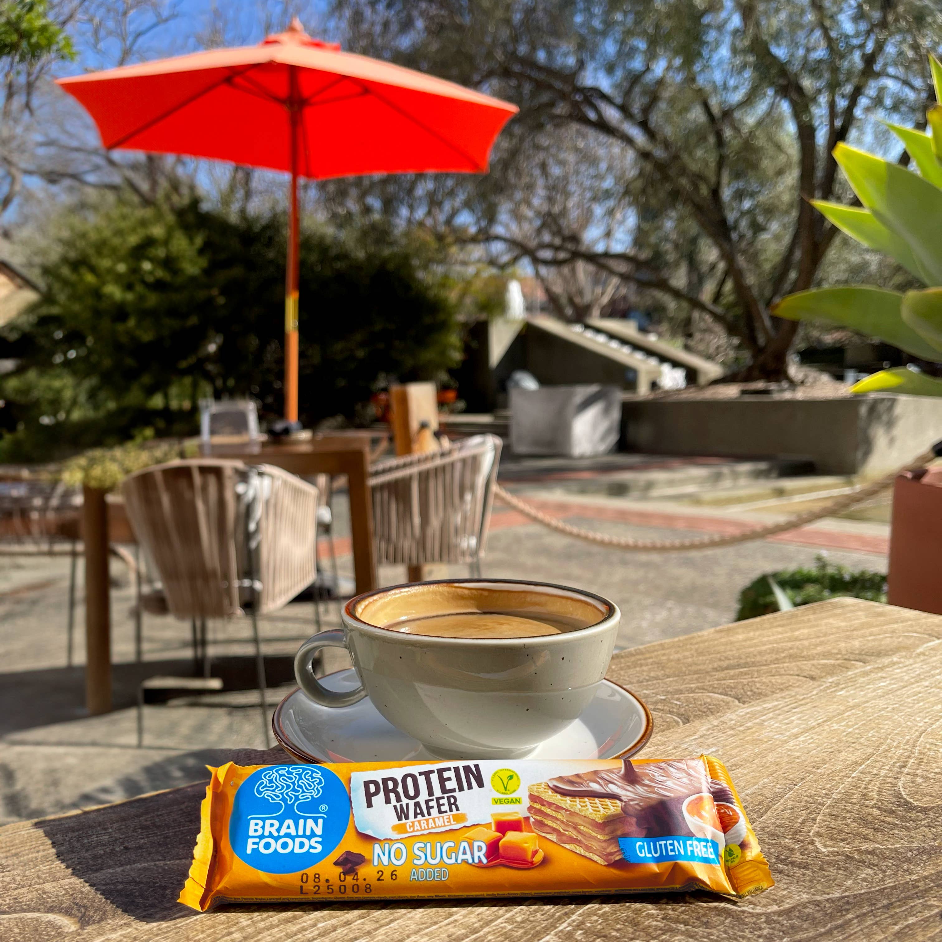 Wilton Mettler LLC - Wholesale Snack Bar - BRAIN FOODS Gluten Free Vegan Wafers (Caramel Protein)8