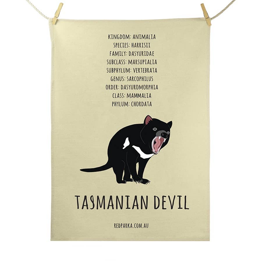 Red Parka – Großhandel Geschirrtücher – Tasmanian Devil Geschirrtuch0