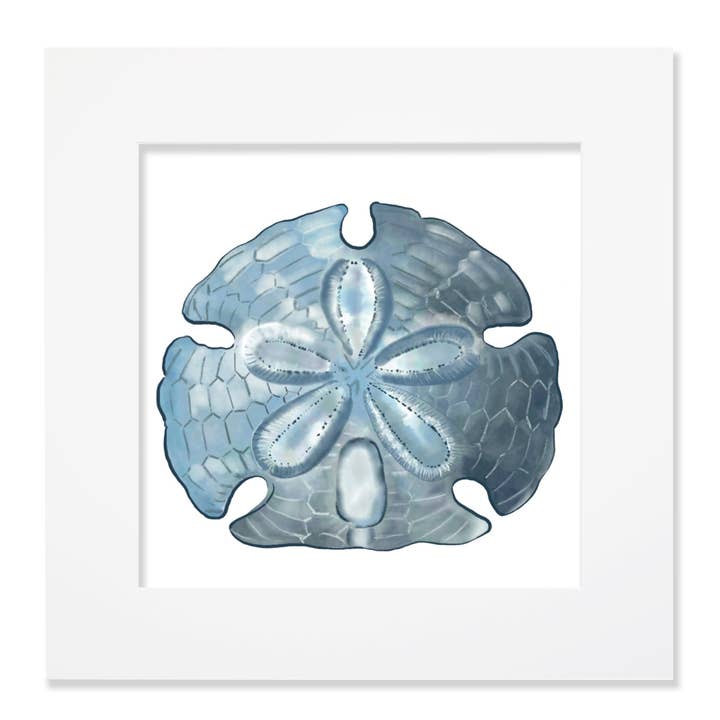 Sand Dollar Art Print – Mounted in Two Sizes for wholesale by Cream Cornwall