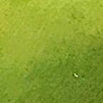 Belart Fair Trade - Wholesale Beaded Bracelet - Tagua Simple Acai Bead Adia Bracelet6