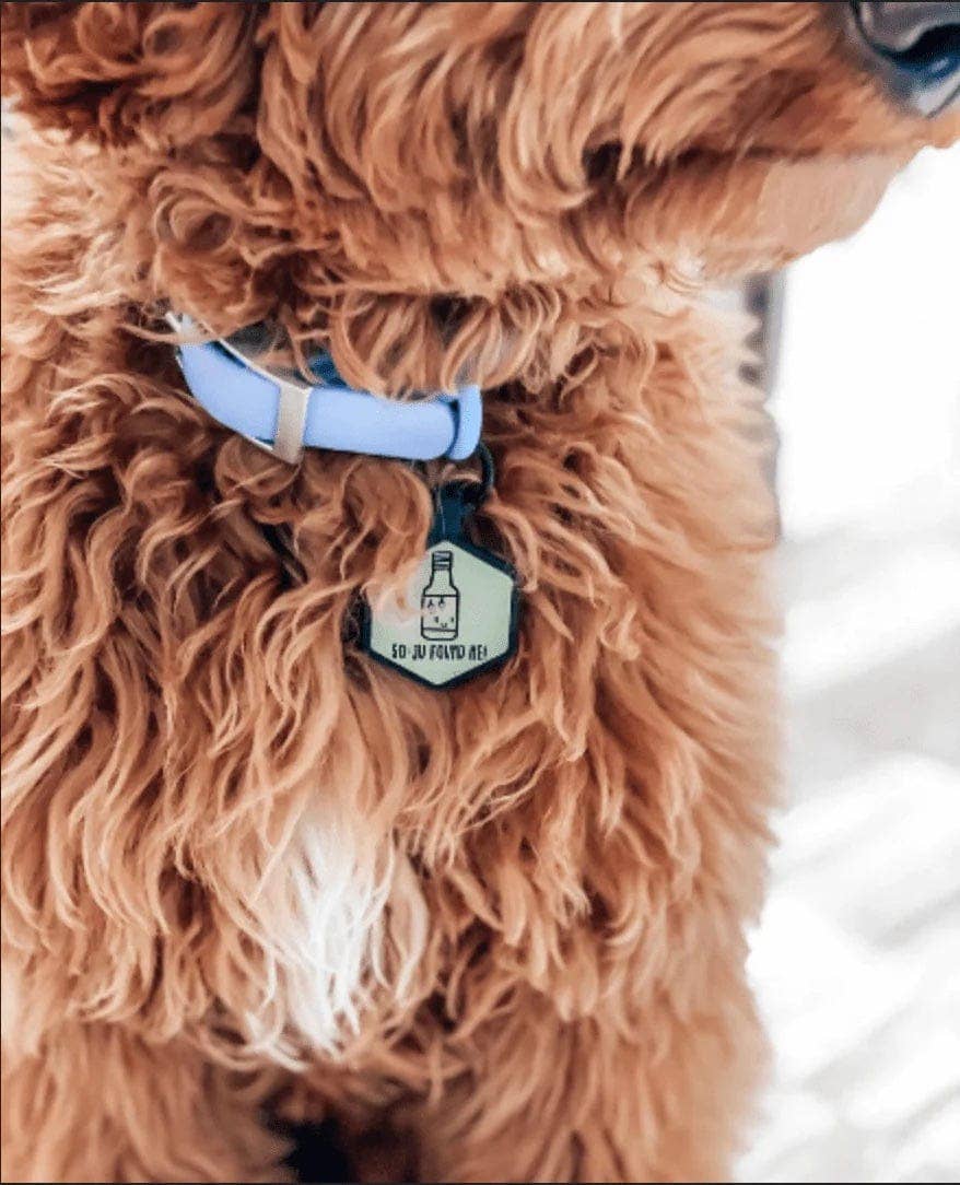 Besties Pets - Wholesale Pet Identification Tag - Cat/Dog - Mini Custom Design ID Tag16