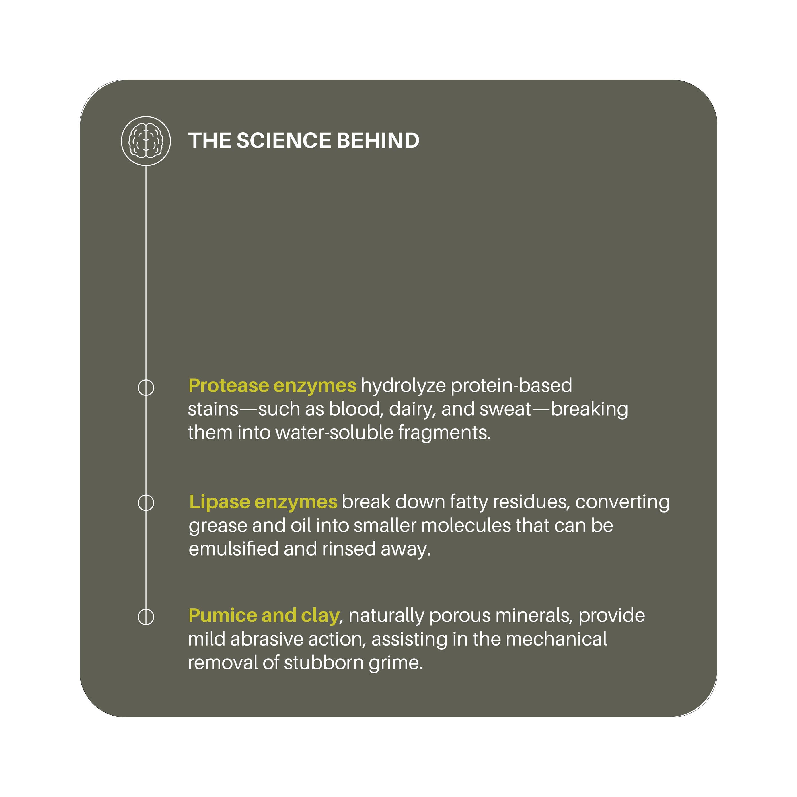 Everneat – wholesale Multi-surface cleaner – Natural Oven Cleaner (Buzzfeed, Huffpost, The Kitch...)7