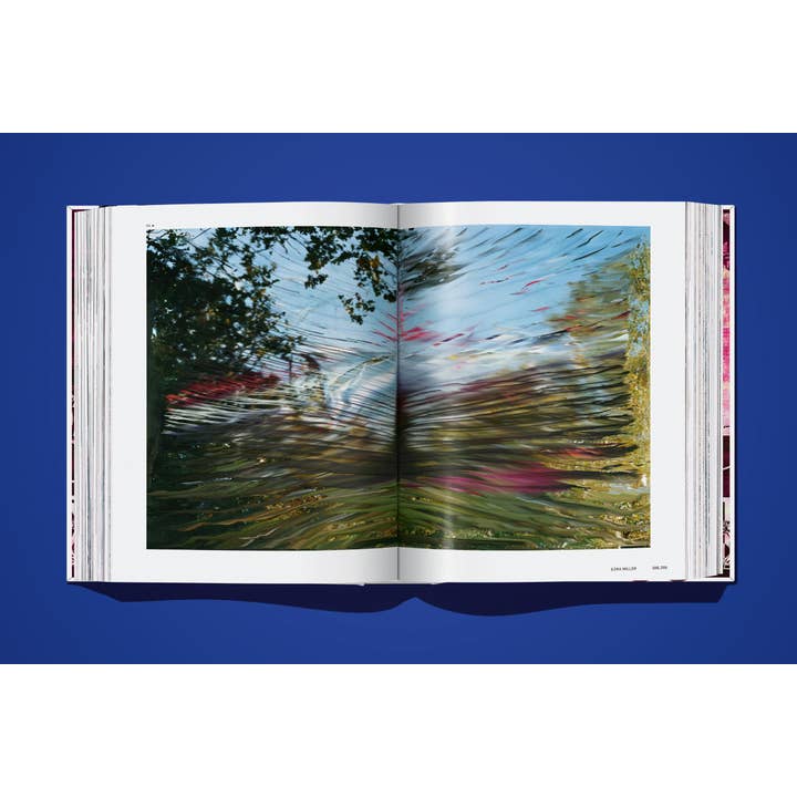 TASCHEN Europe - Wholesale Arts & Entertainment Book - On NFTs (English)18