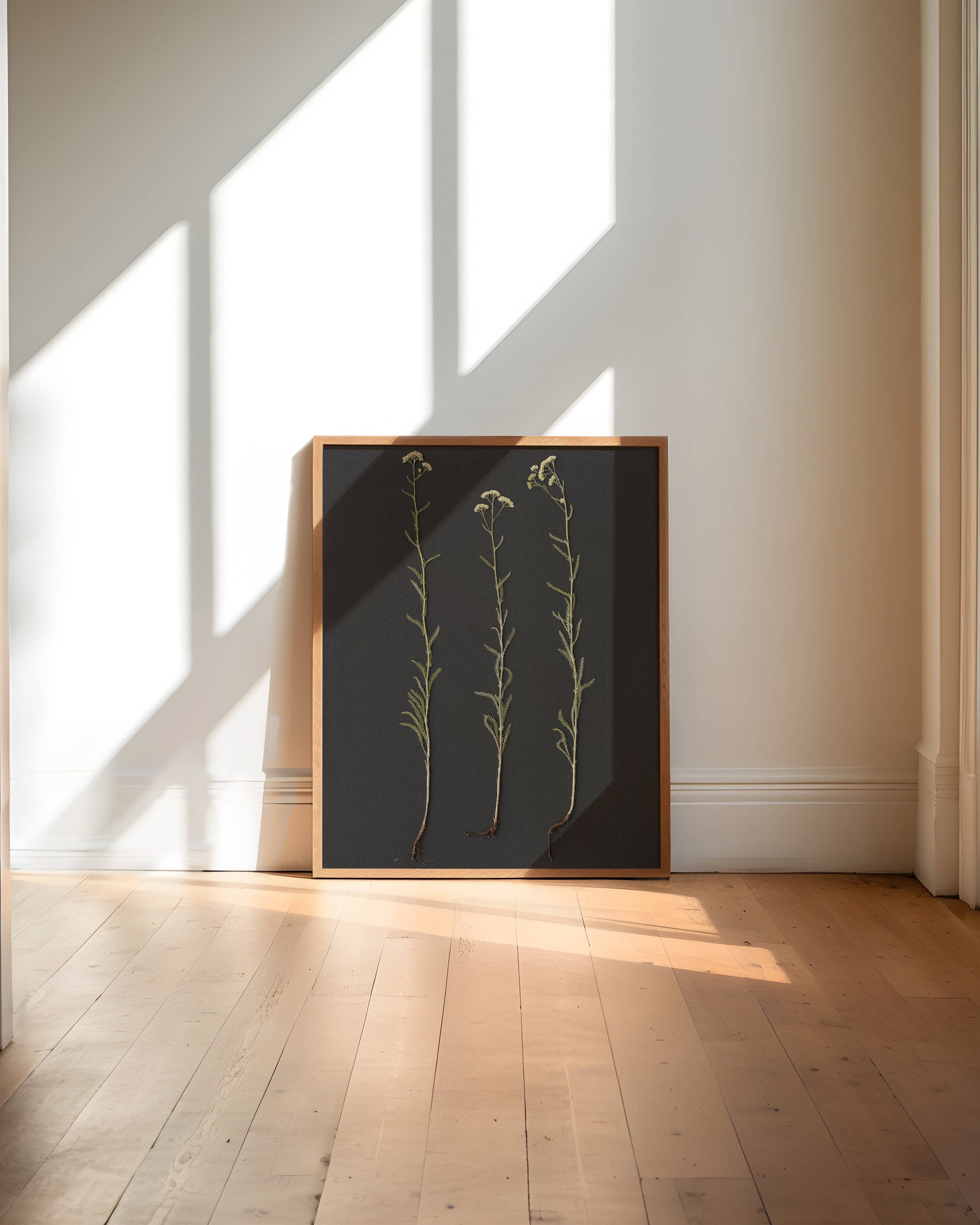 Hope Steinle Pressed Flower Art - Wholesale Art Print - Root Series No. 16