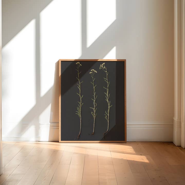 Hope Steinle Pressed Flower Art - Wholesale Art Print - Root Series No. 16